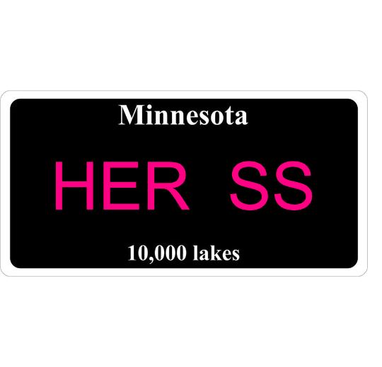 Minnesota Black Custom State License Plate Personalized 12"x6" Size