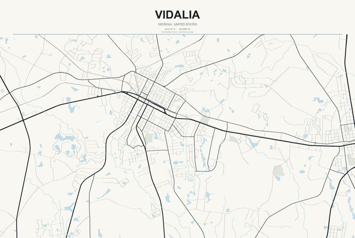 Vidalia, Georgia City Map Aluminum Sign in Headline Atlas style