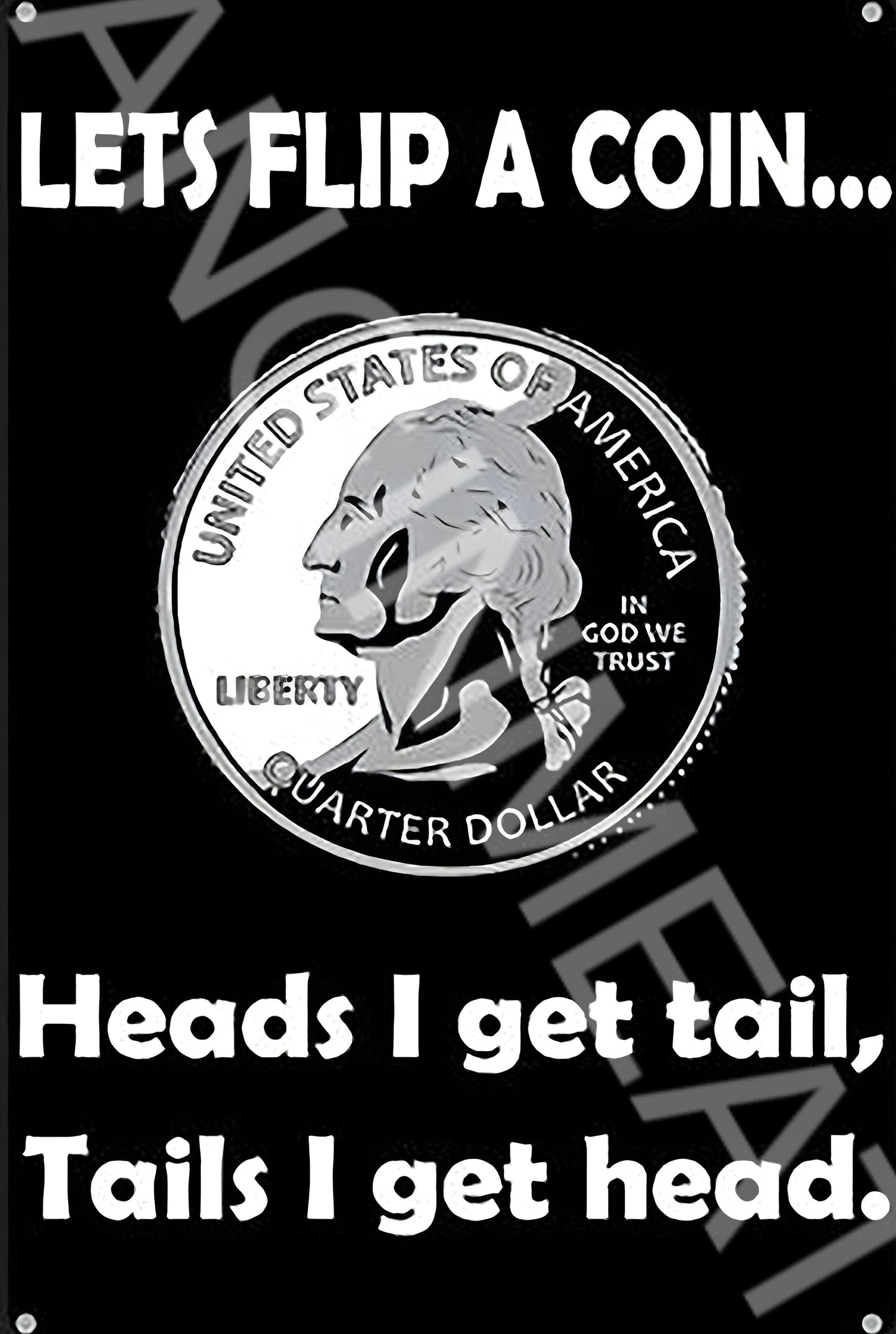 Let's Flip A Coin Funny Aluminum Metal Sign
