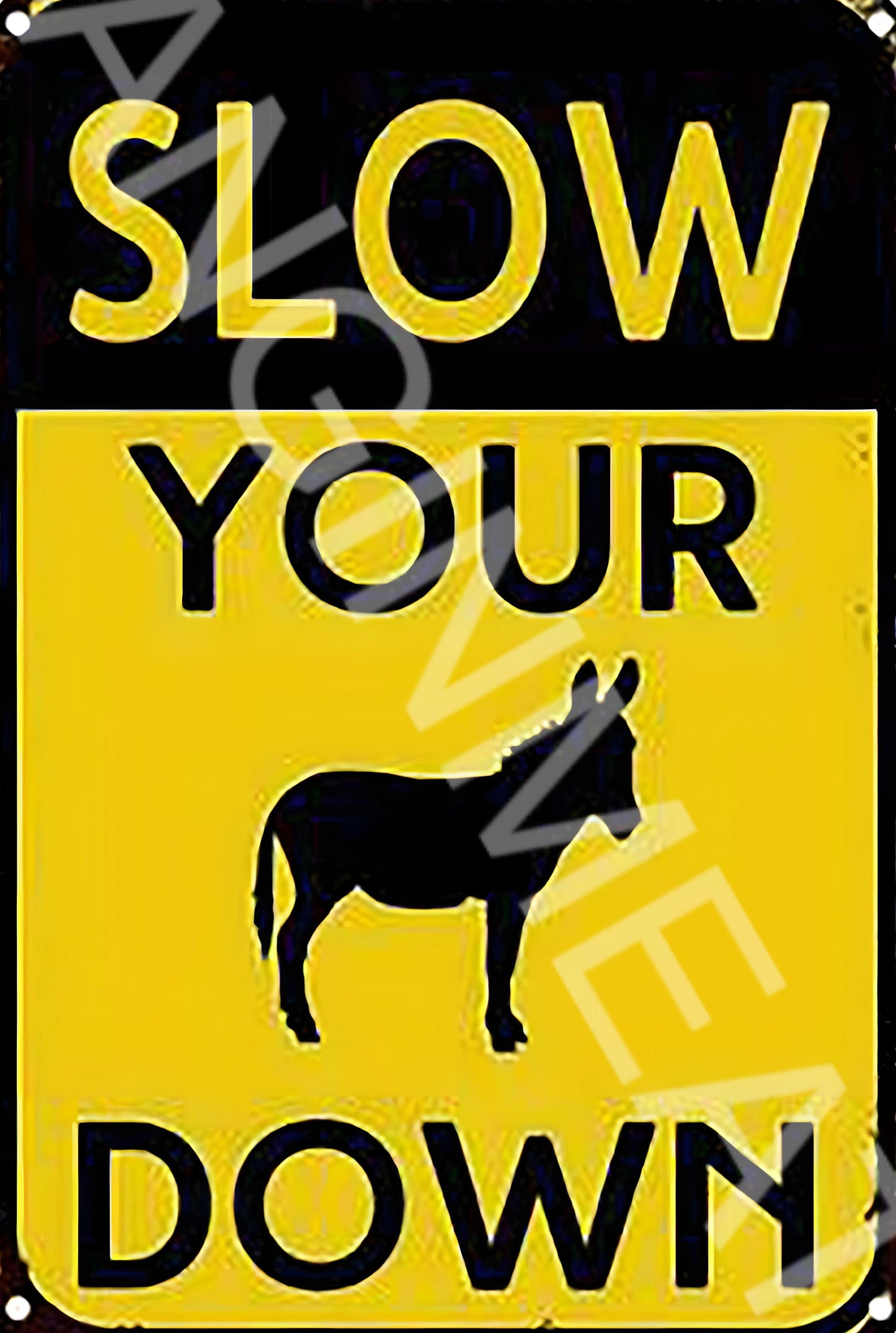 Slow Your A$$ Down Funny Aluminum Metal Sign