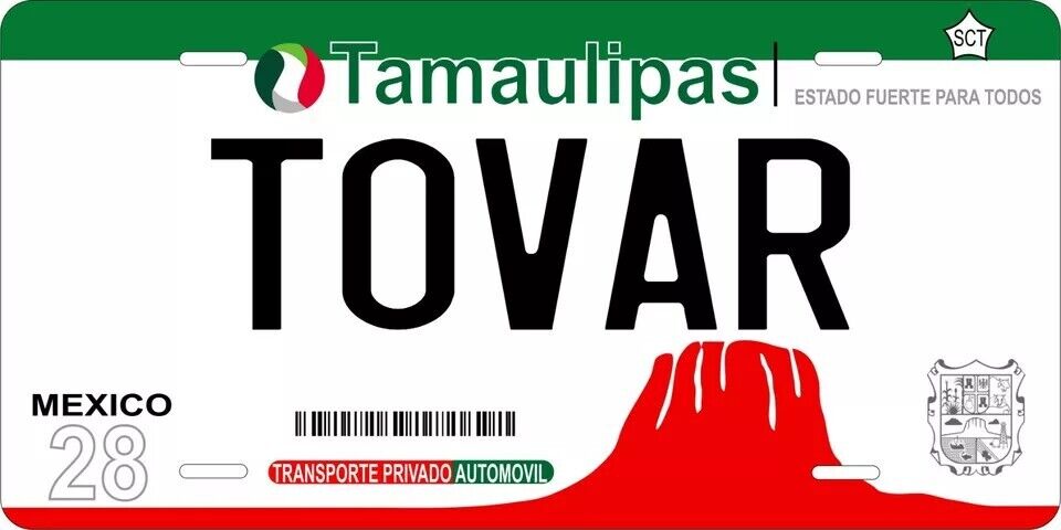 Tamaulipas 2013 Custom State License Plate Personalized 12"x6" Size