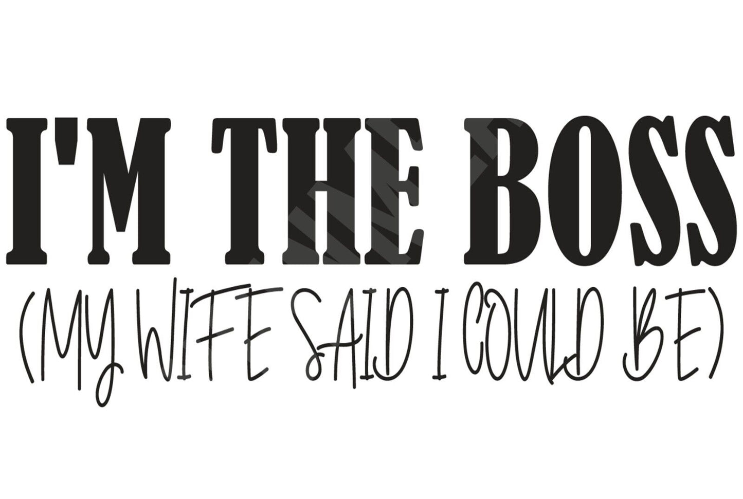 I'm The Boss My Wife Said I Could Be Funny Sign Aluminum Metal Sign