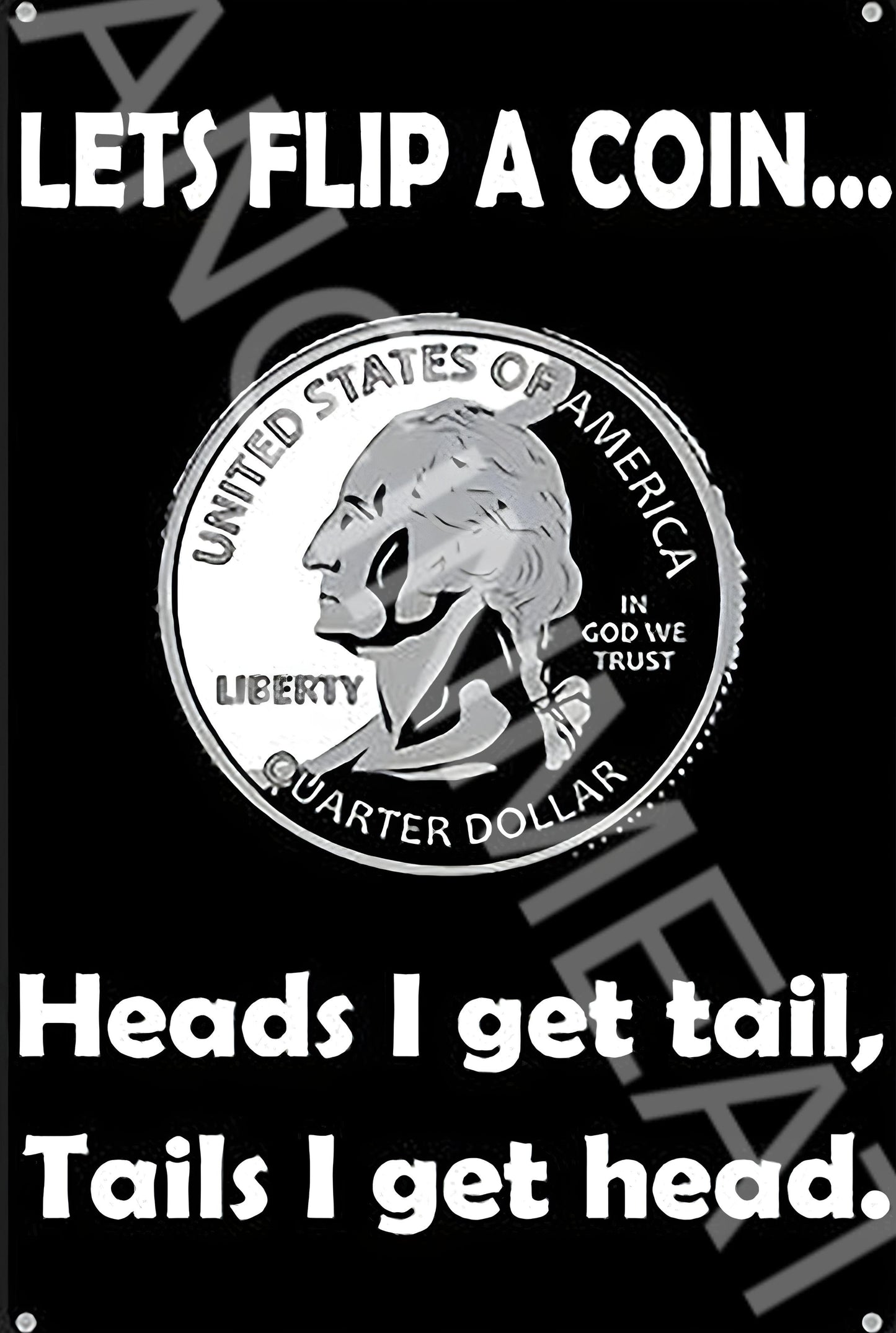 Let's Flip A Coin Funny Aluminum Metal Sign