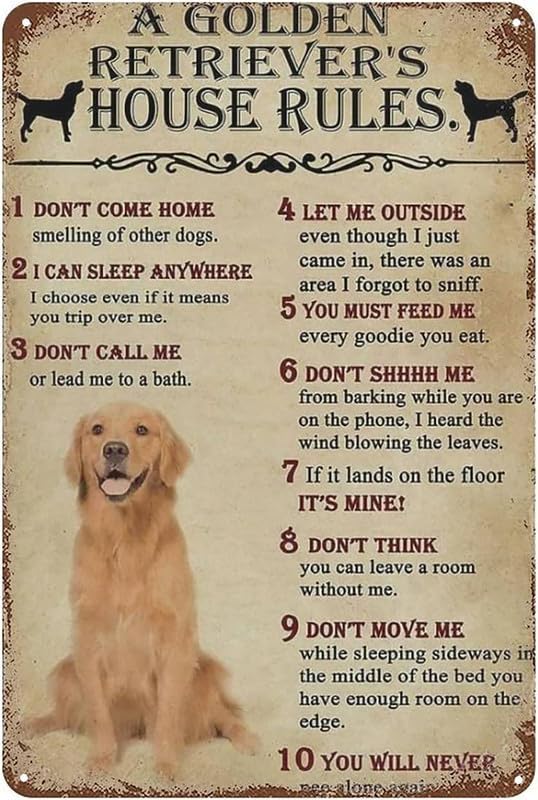 Golden Retriever's House Rules Aluminum Weatherproof Sign p1268