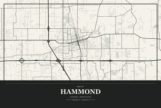 Hammond, Louisiana City Map Aluminum Sign in Museum Plaque style
