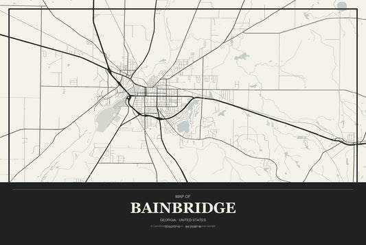 Bainbridge, Georgia City Map Aluminum Sign in Museum Plaque style