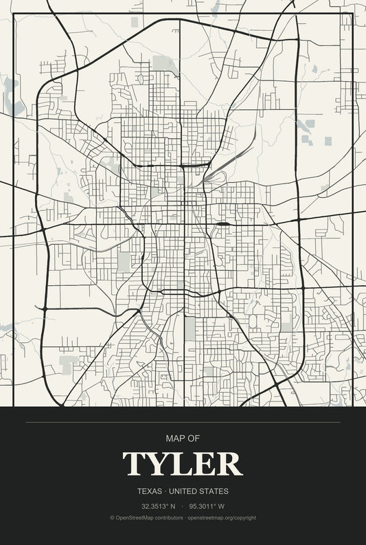 Tyler, Texas City Map Aluminum Sign in Museum Plaque style