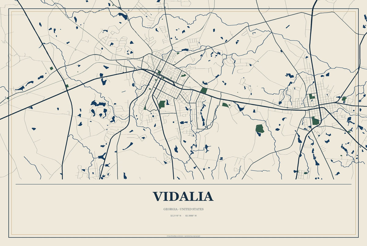 Vidalia, Georgia City Map Aluminum Sign in Coastal Cutout style