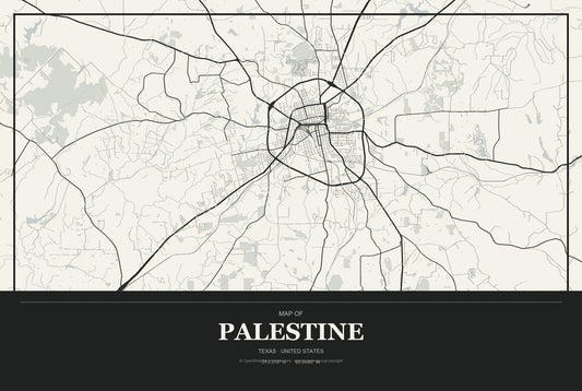 Palestine, Texas City Map Aluminum Sign in Museum Plaque style
