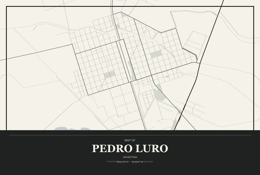Pedro Luro, Argentina City Map Aluminum Sign in Museum Plaque style