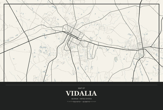 Vidalia, Georgia City Map Aluminum Sign in Museum Plaque style