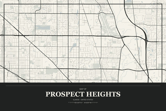 Prospect Heights, Illinois City Map Aluminum Sign in Museum Plaque style