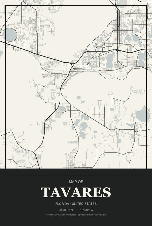 Tavares, Florida City Map Aluminum Sign in Museum Plaque style