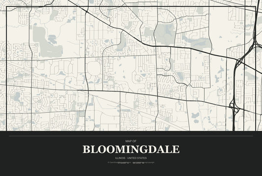 Bloomingdale, Illinois City Map Aluminum Sign in Museum Plaque style