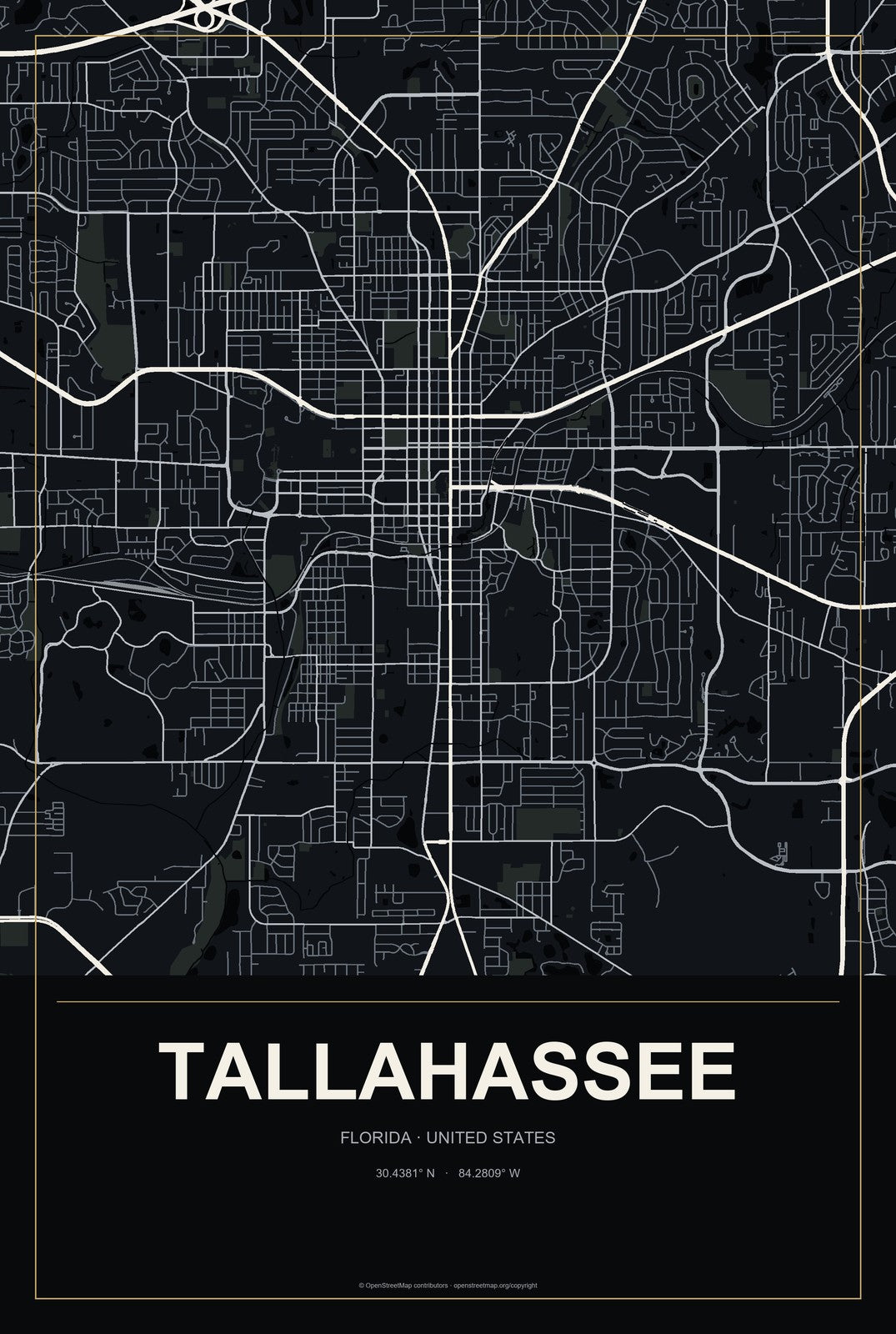 Tallahassee, Florida City Map Aluminum Sign in Metropolitan Noir style