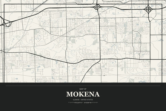 Mokena, Illinois City Map Aluminum Sign in Museum Plaque style