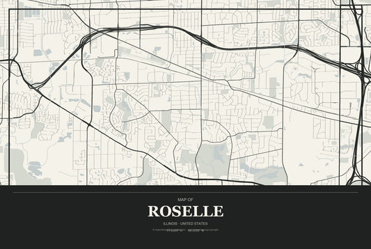 Roselle, Illinois City Map Aluminum Sign in Museum Plaque style