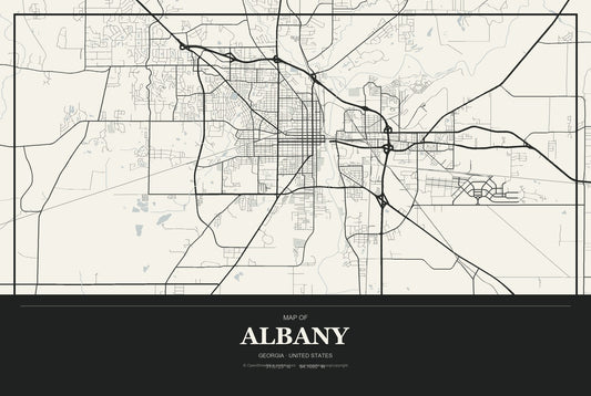 Albany, Georgia City Map Aluminum Sign in Museum Plaque style