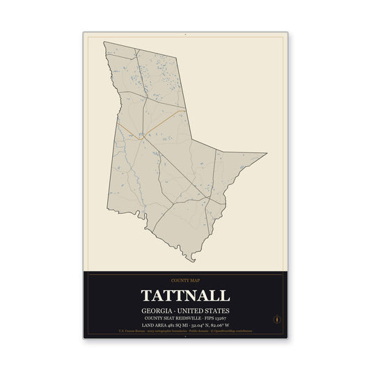 Tattnall County, Georgia Map Aluminum Sign in Museum Plaque style