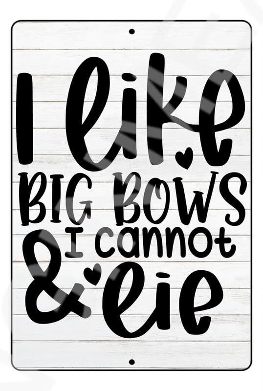 I Like Big Bows And I Cannot Lie Funny Baby's Room Or Nursery Sign Weatherproof