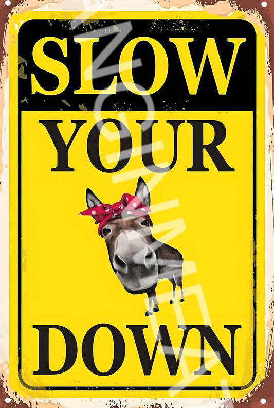 Slow Your A$$ Down v2 Funny  Aluminum Metal Sign