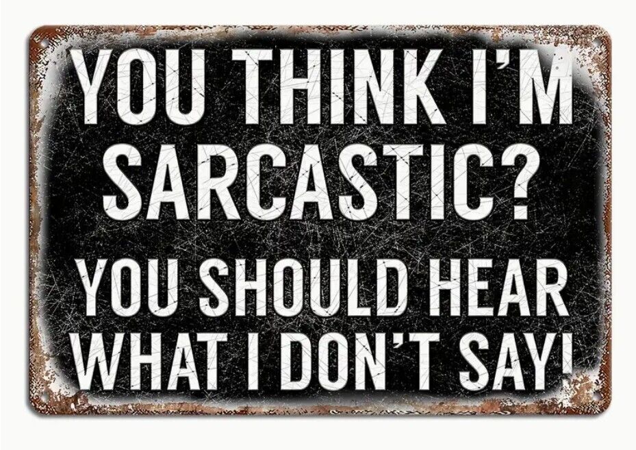 You Think I'm Sarcastic Aluminum Weatherproof Funny Sign p1295