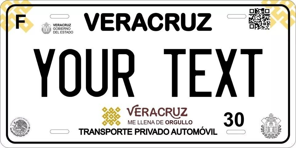 Veracruz 2019 Custom State License Plate Personalized 12"x6" Size
