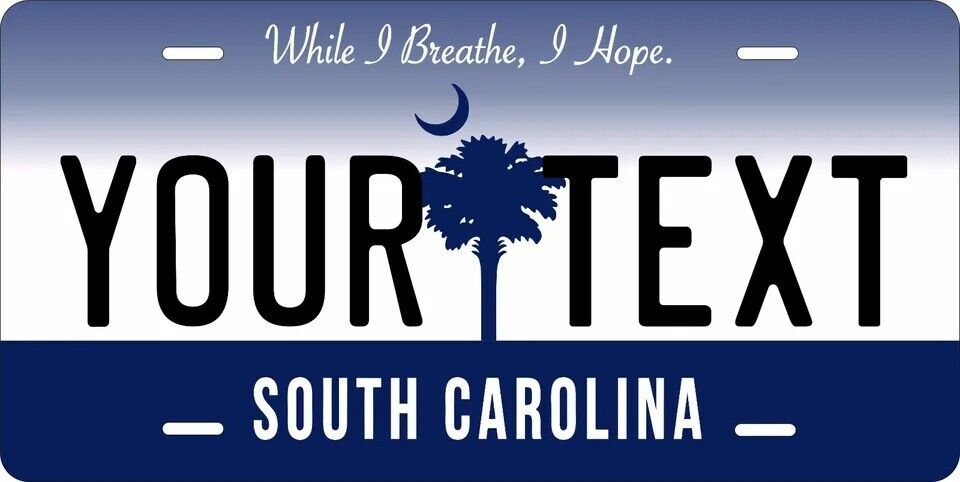 South Carolina 2016 Custom State License Plate Personalized 12"x6" Size