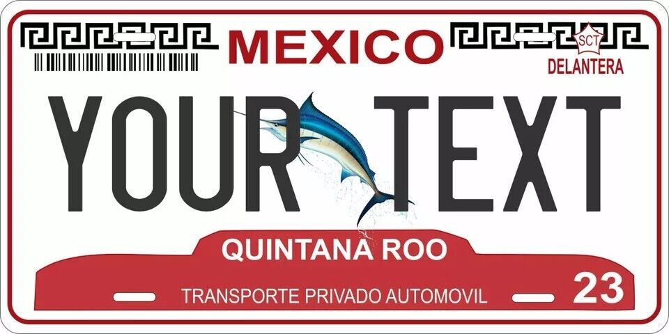 Quintana Roo 2011 Custom State License Plate Personalized 12"x6" Size