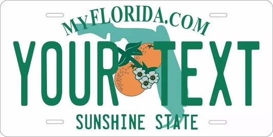 Florida 2003 Custom State License Plate Personalized 12"x6" Size