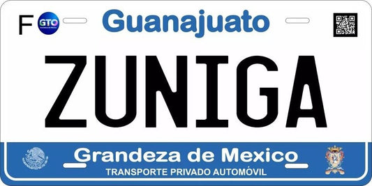 Guanajuanto 2017 v2 Custom State License Plate Personalized 12"x6" Size