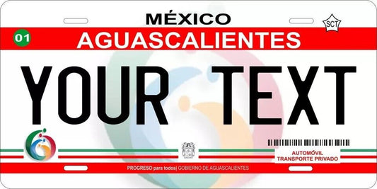 Aquascalientes 2012 Custom State License Plate Personalized 12"x6" Size