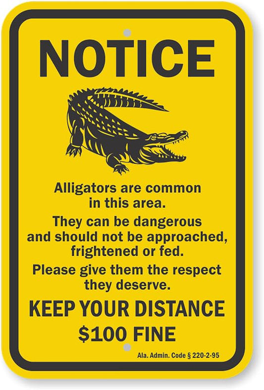 Alligators Are Common In Area 100 Fine Aluminum Weatherproof  Sign p00371