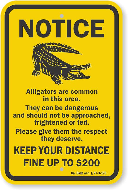 Alligators Are Common In Area Fine Up To 200 Aluminum Weatherproof  Sign p00372