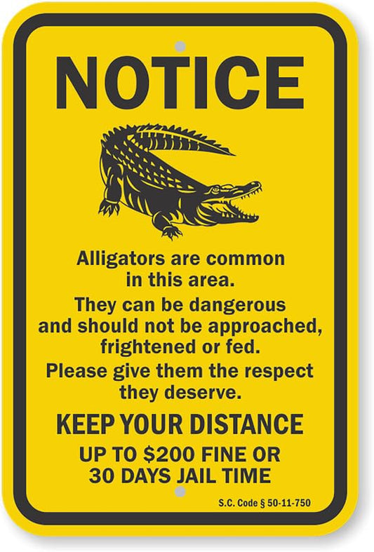 Alligators Are Common In Area Up To 200 Fine Aluminum Weatherproof  Sign p00374