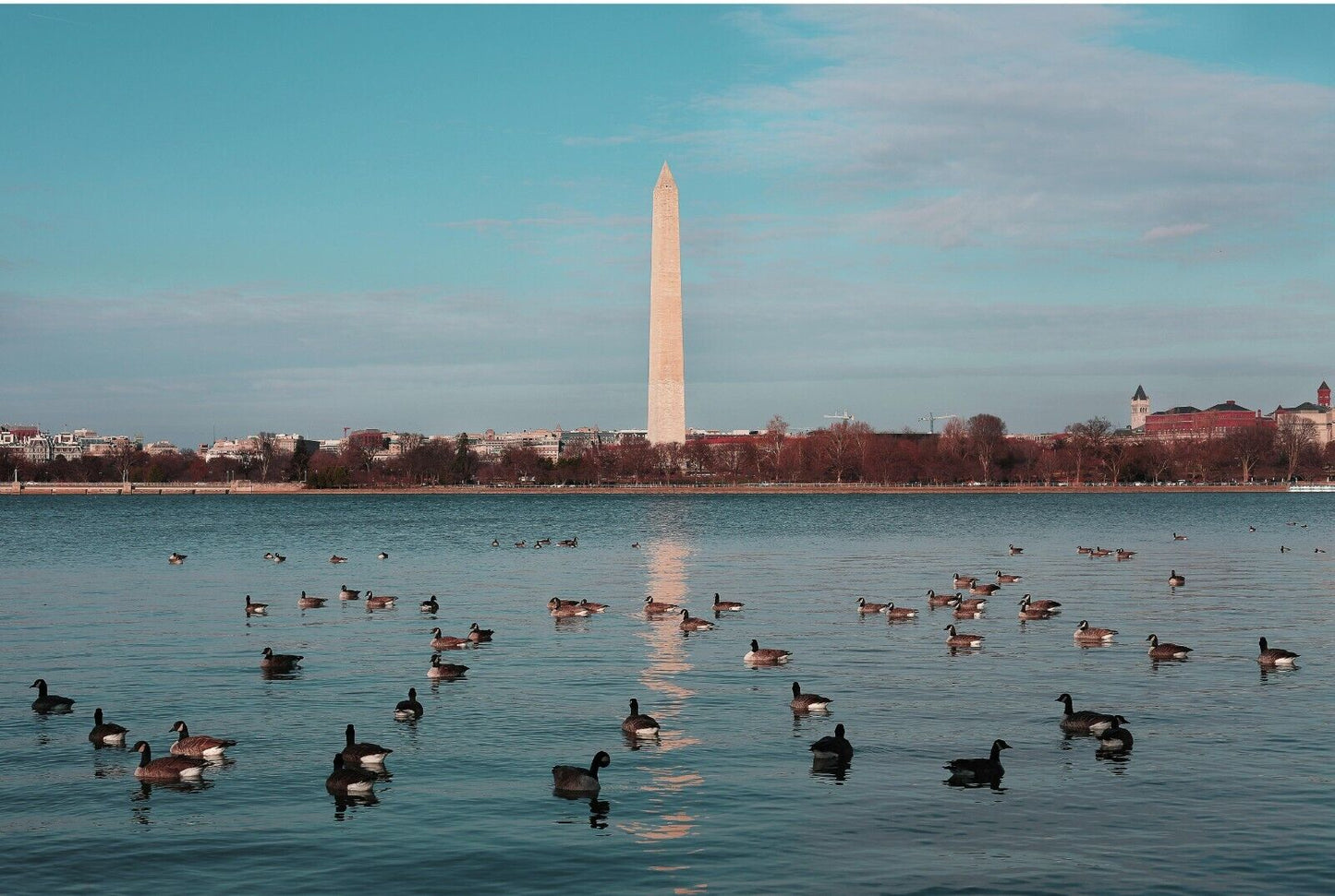 Washington DC Landmarks YOU CHOOSE Sign Weatherproof Aluminum