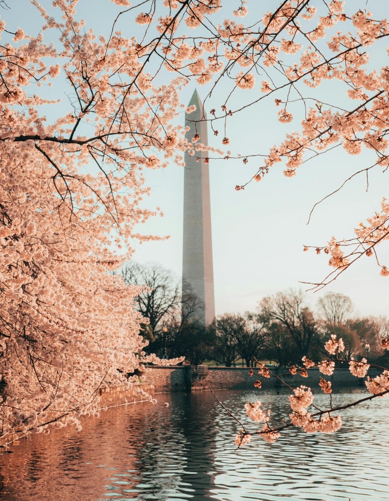 Washington DC Landmarks YOU CHOOSE Sign Weatherproof Aluminum