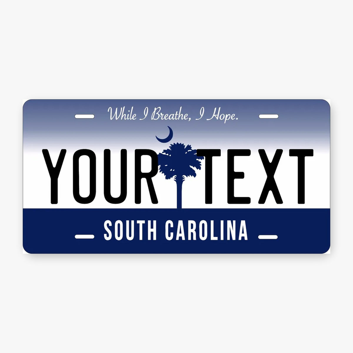 South Carolina 2016 Personalized Replica License Plate — product artwork