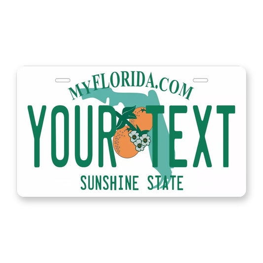 Florida 2003 Personalized Motorcycle Replica Plate — product artwork