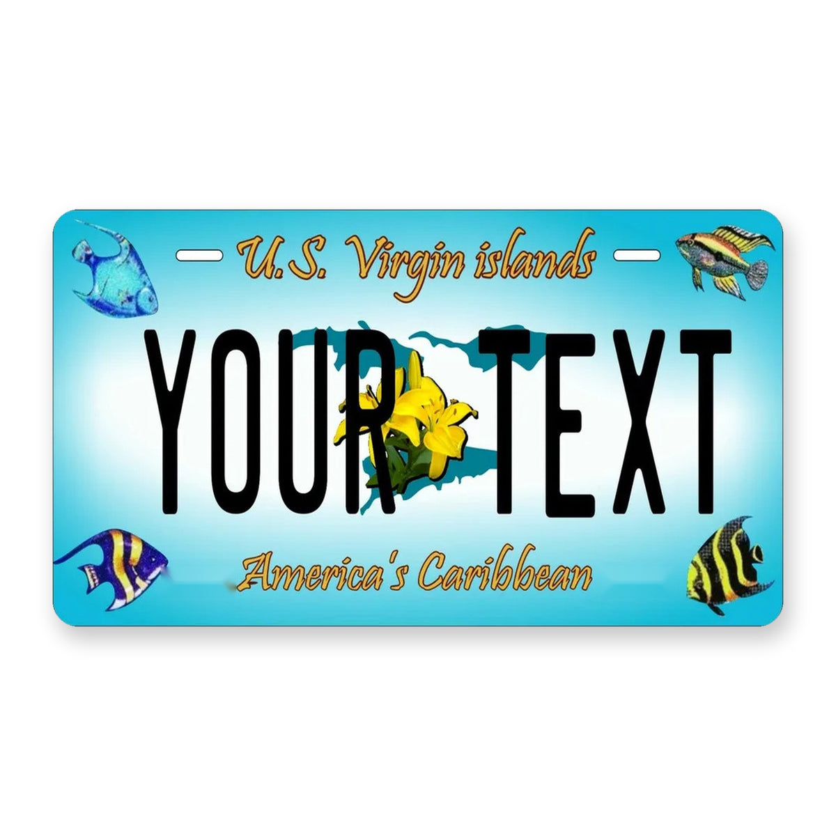 Virgin Islands 2006 Personalized Motorcycle Replica Plate — product artwork