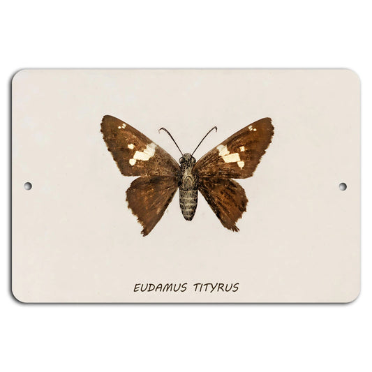 Vintage Butterfly Rustic Decorative Aluminum Sign — product artwork
