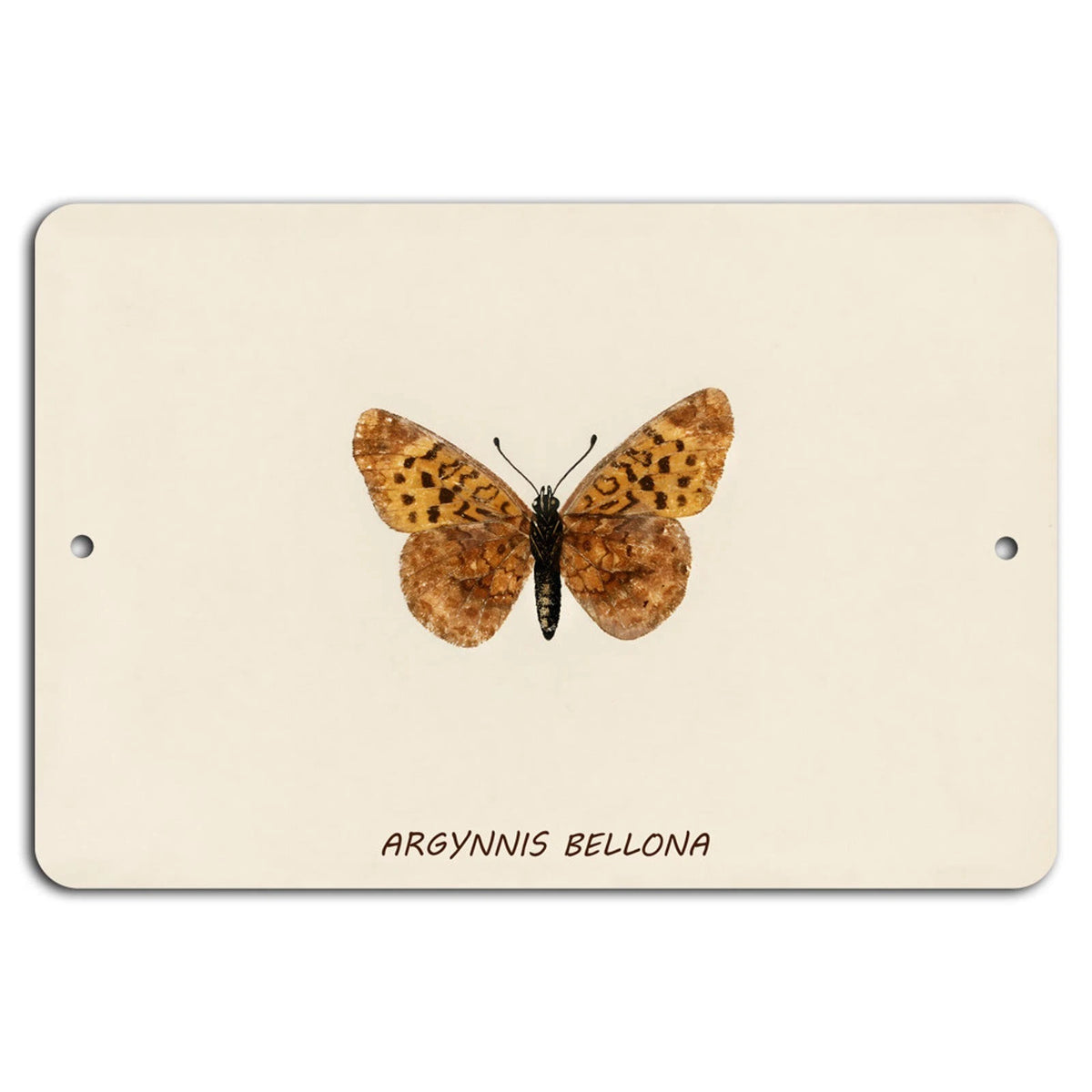 Butterfly Vibrant Nature Art Aluminum Sign — product artwork