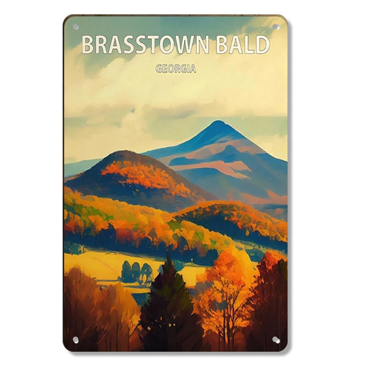 Mountain Wall Art Brasstown North Georgia Funny Aluminum Sign — product artwork