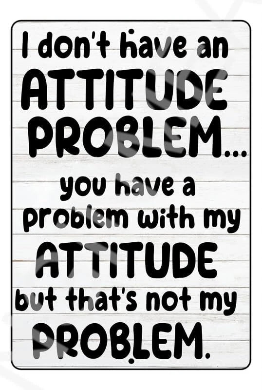 I Don't Have an Attitude You Have a Problem Funny Aluminum Sign — product artwork