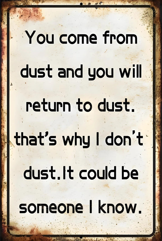 You Come from Dust That's Why I Don't Dust Funny Aluminum Sign — product artwork