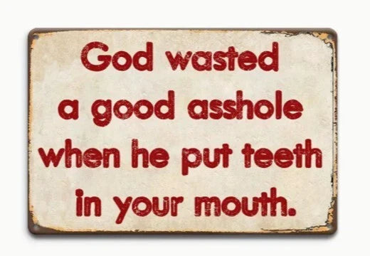 God Wasted a Good A$$hole Aluminum Sign — product artwork