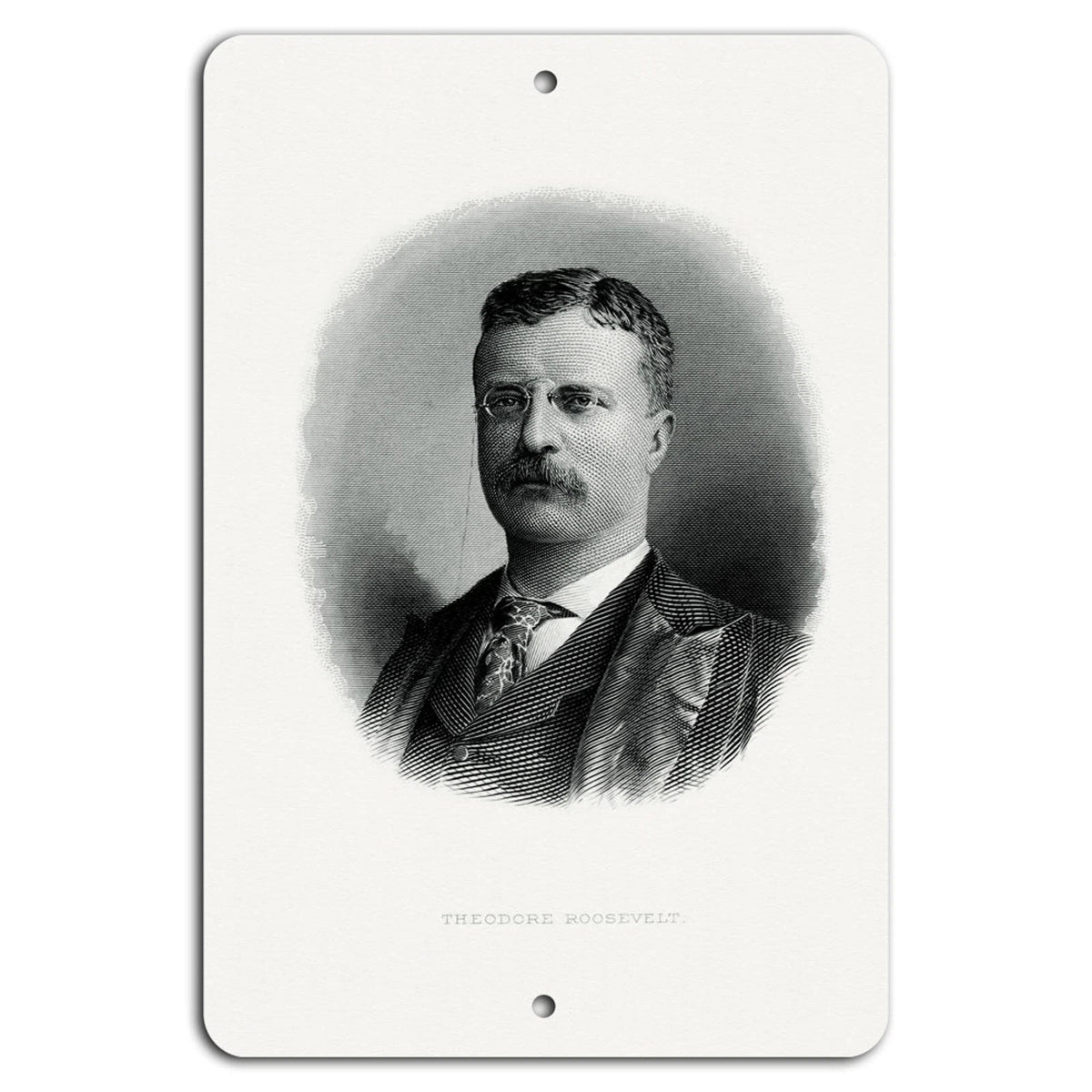 Theodore Roosevelt Vintage Aluminum Sign — product artwork