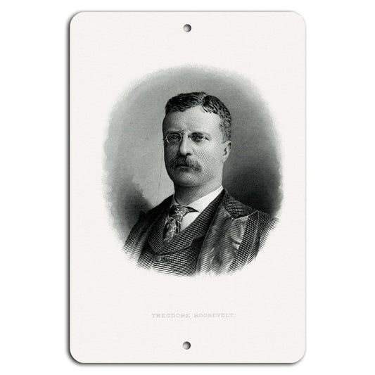 Theodore Roosevelt Vintage Aluminum Sign — product artwork
