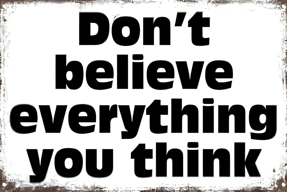 Don't Believe Everything You Think Funny Aluminum Sign — product artwork