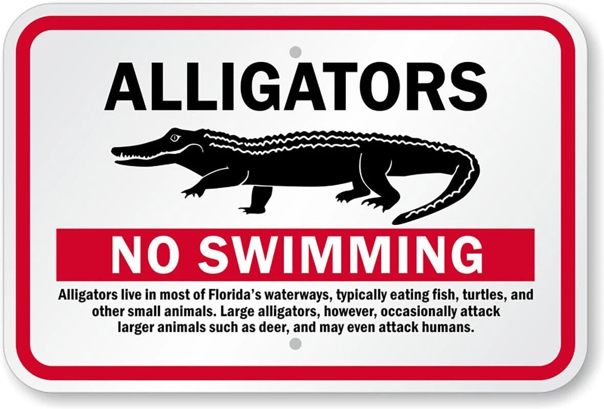 No Swimming Alligators Aluminum Sign — product artwork